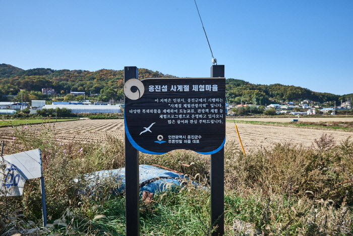 한국문화정보원_인천 푸른벗말 01