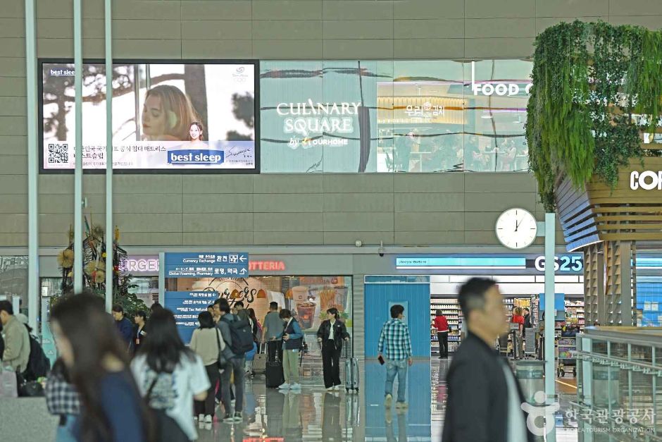 중구_인천국제공항 제2여객터미널 (3)