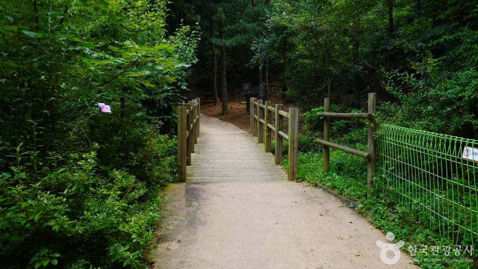 인천나비공원_4