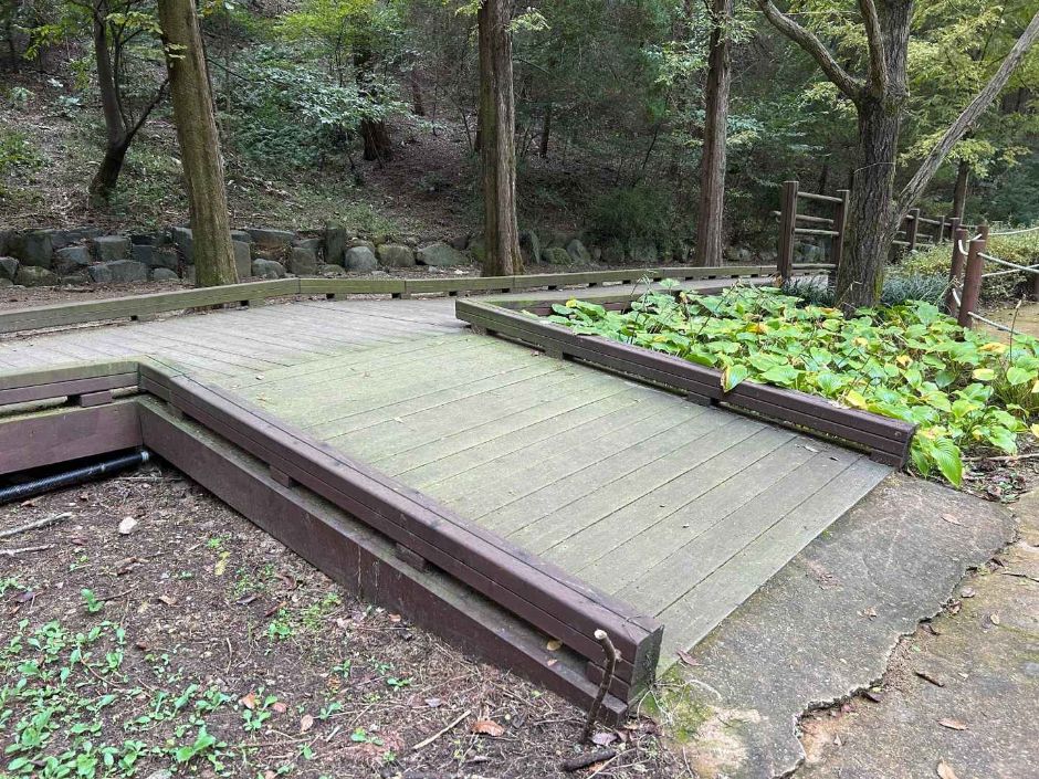 인천대공원치유숲길_데크로드 경사로_2