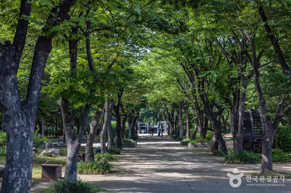 인천_인천중앙공원 (13)