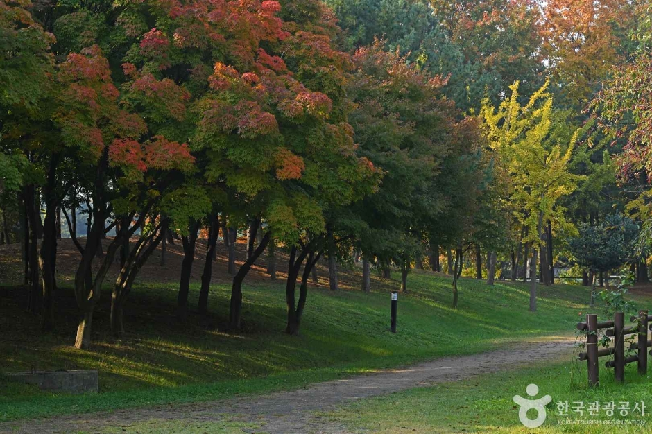 인천환경공단 청라생태공원 (4)