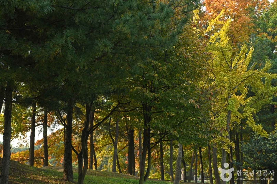 인천환경공단 청라생태공원 (6)