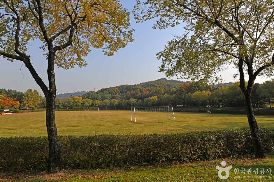 인천환경공단 청라생태공원 (7)