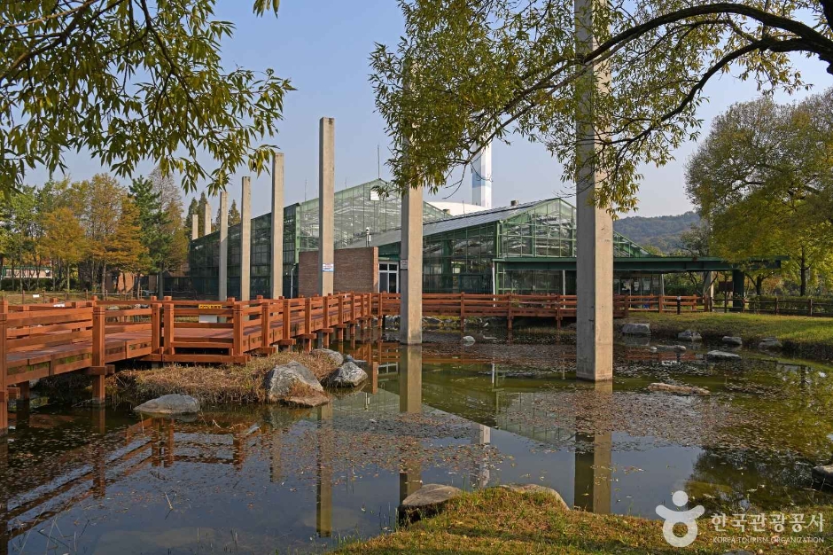 인천환경공단 청라생태공원 (1)