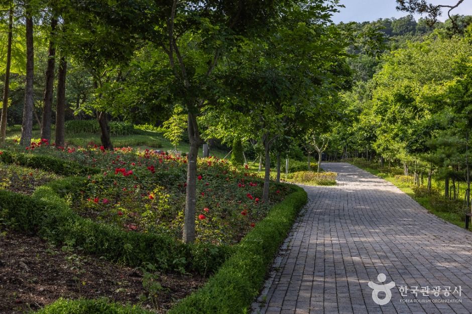 인천_장미공원 (21)