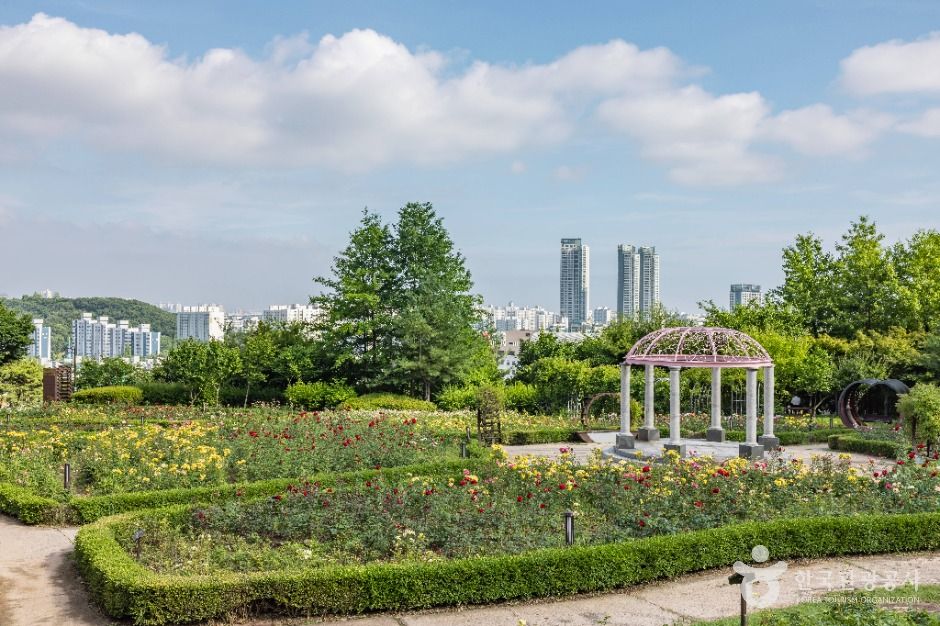 인천_장미공원 (14)