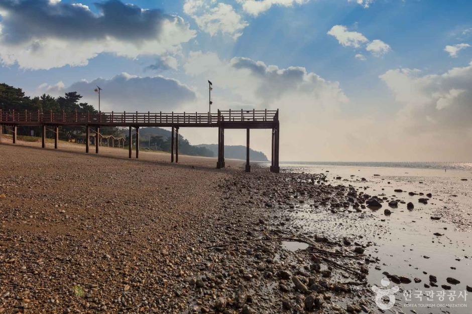 옹진_장봉도 옹암해변 (8)