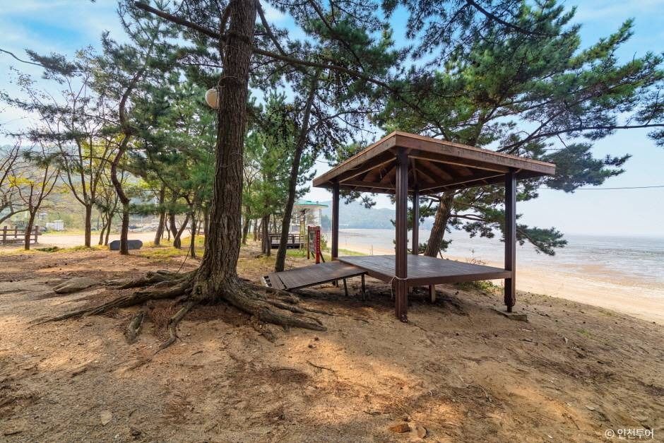 인천_장봉도 진촌해변 (1)