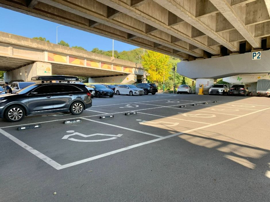 장수동 은행나무_장애인 전용 주차장1