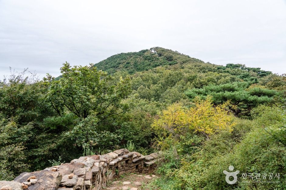 강화_정족산 (1)