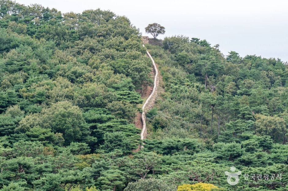 강화_정족산 (2)