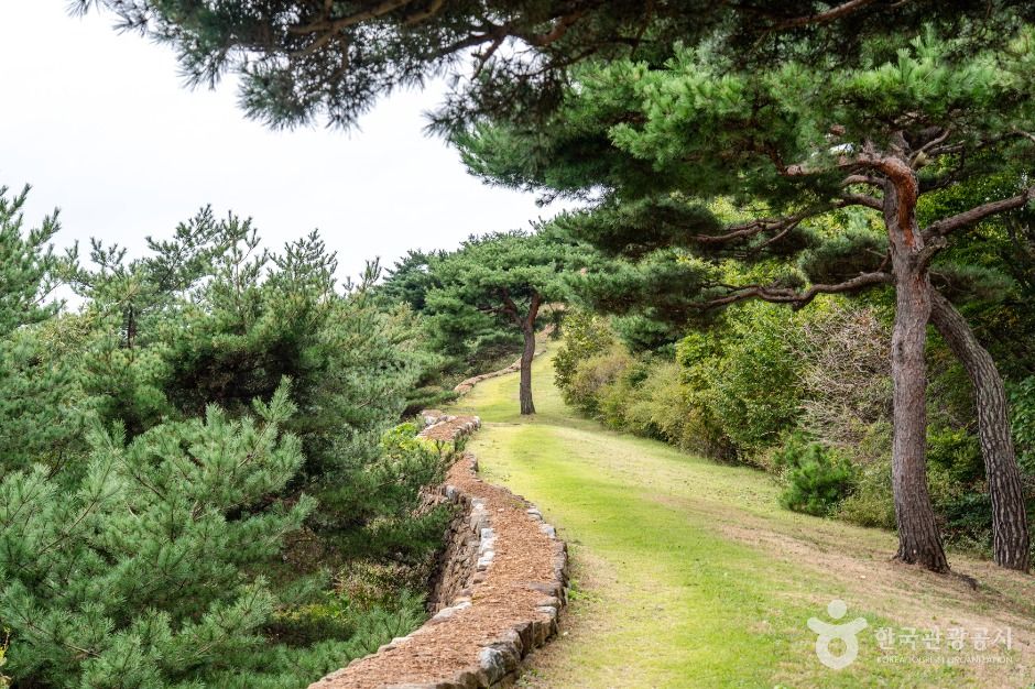 강화_정족산 (5)