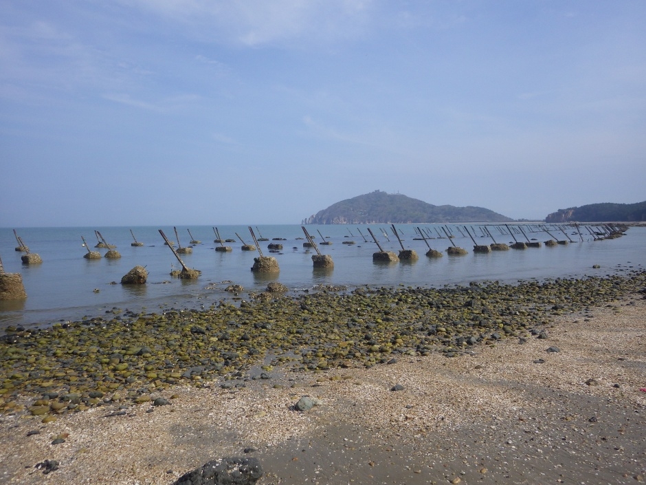 진촌리 현무암_5_국가지질공원