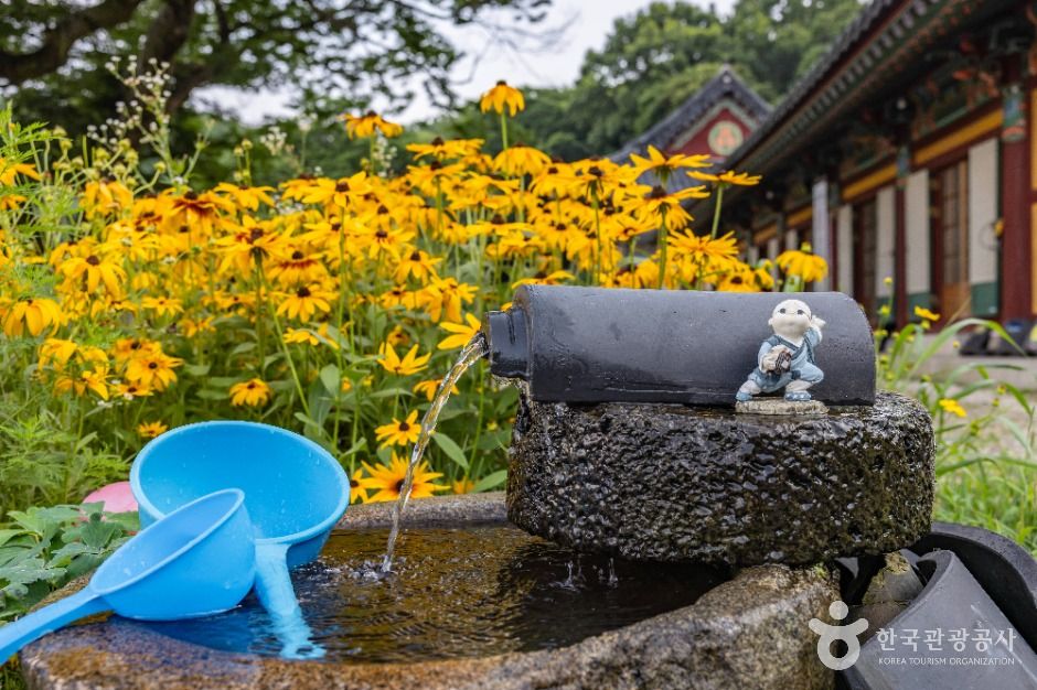 강화_청련사(강화) (7)