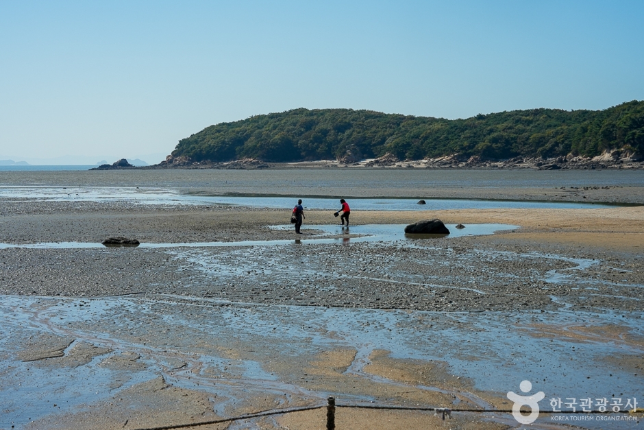 A04421_인천_중구_큰무리어촌체험마을 (5)