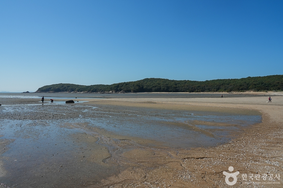 큰무리어촌체험마을