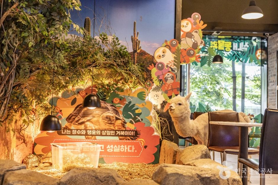 인천_인더쥬동물원 (3)