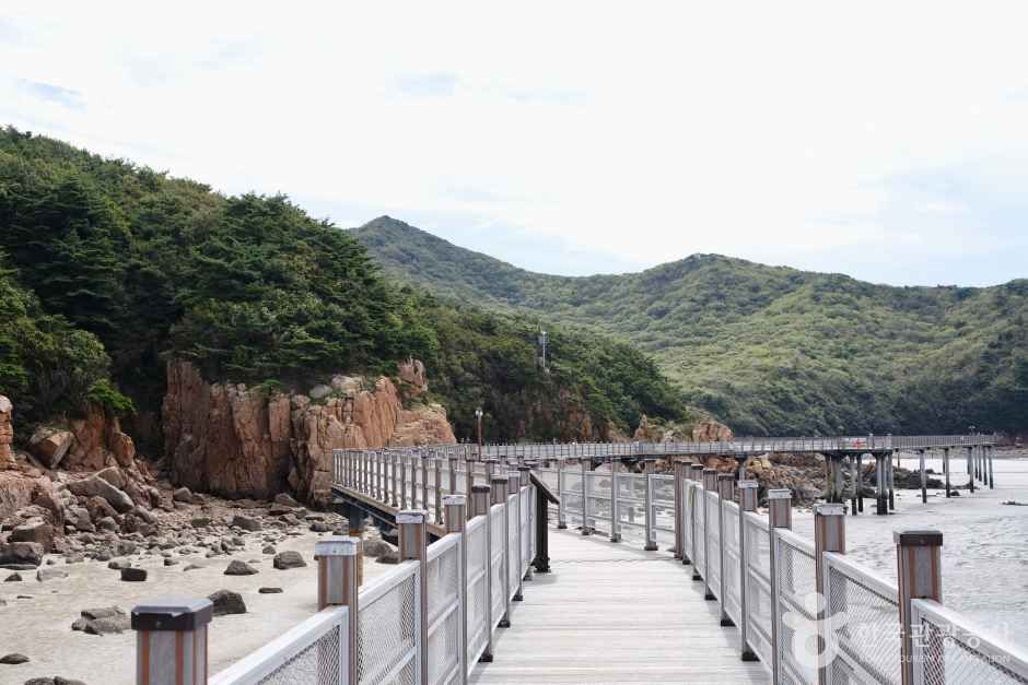 하나개해수욕장 (5)