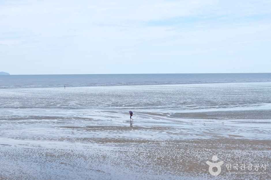 하나개해수욕장 (10)