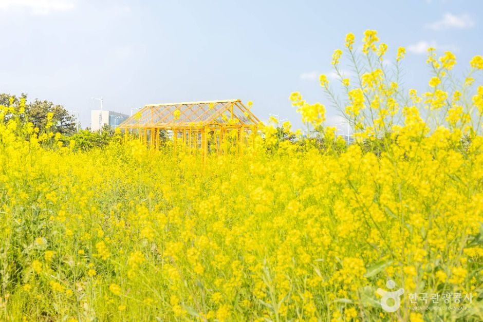 인천_하늘정원 (3)