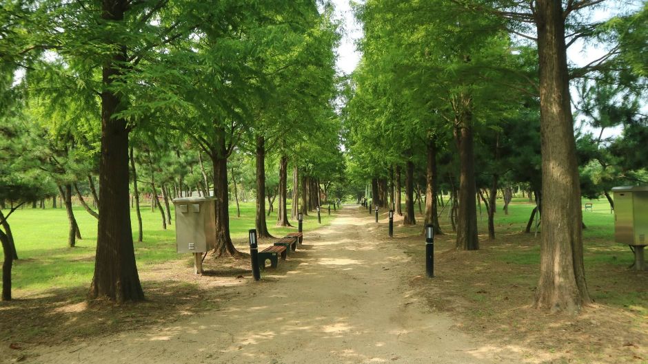 해돋이공원 산책로