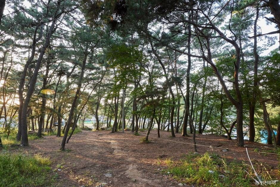 인천_호룡곡산 (2)