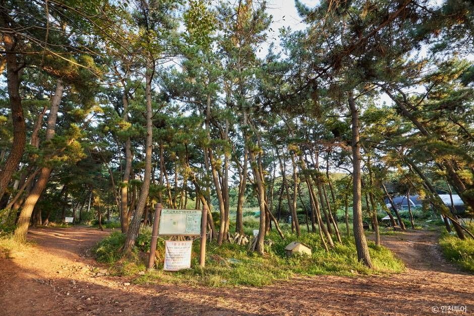 인천_호룡곡산 (3)