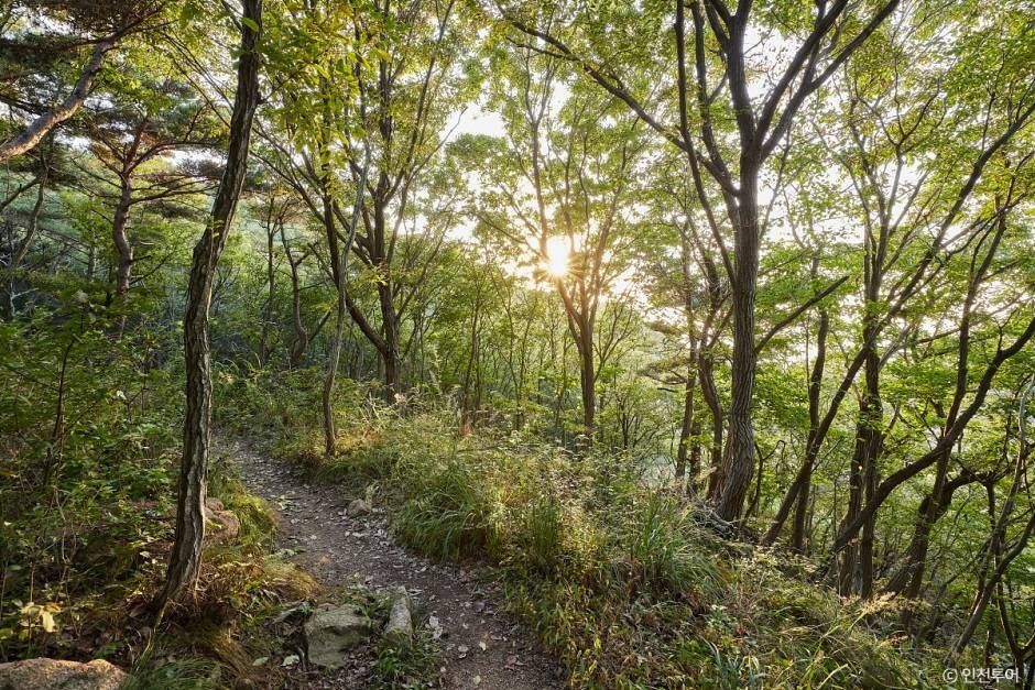 인천_호룡곡산 (4)