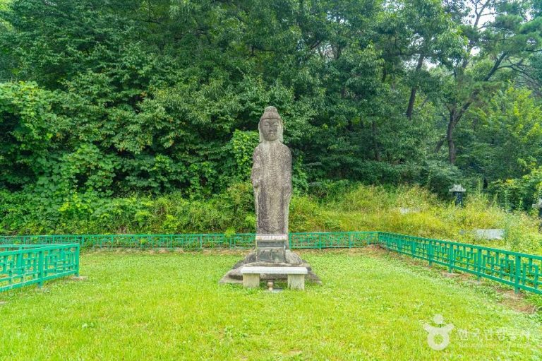 [경기] 안성죽산리석불입상