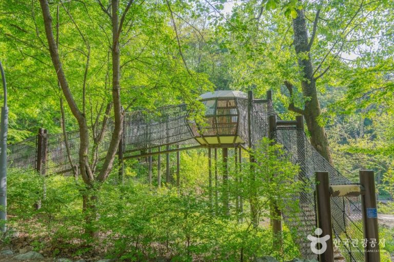 [경기] 광교중앙공원