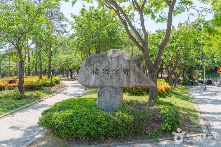 [경기] 매탄공원