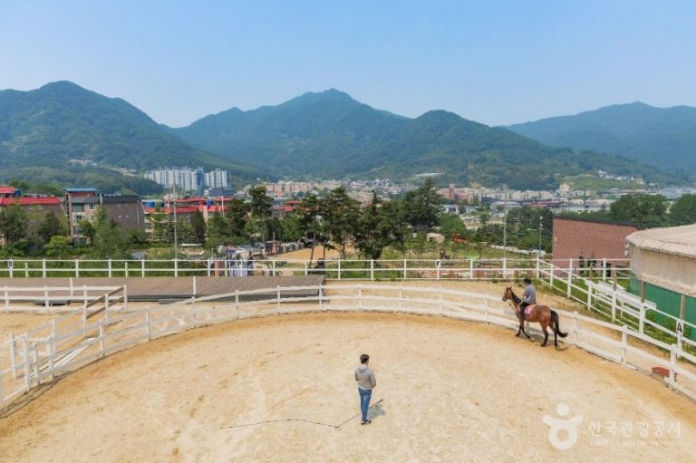 [경기] 비스타밸리