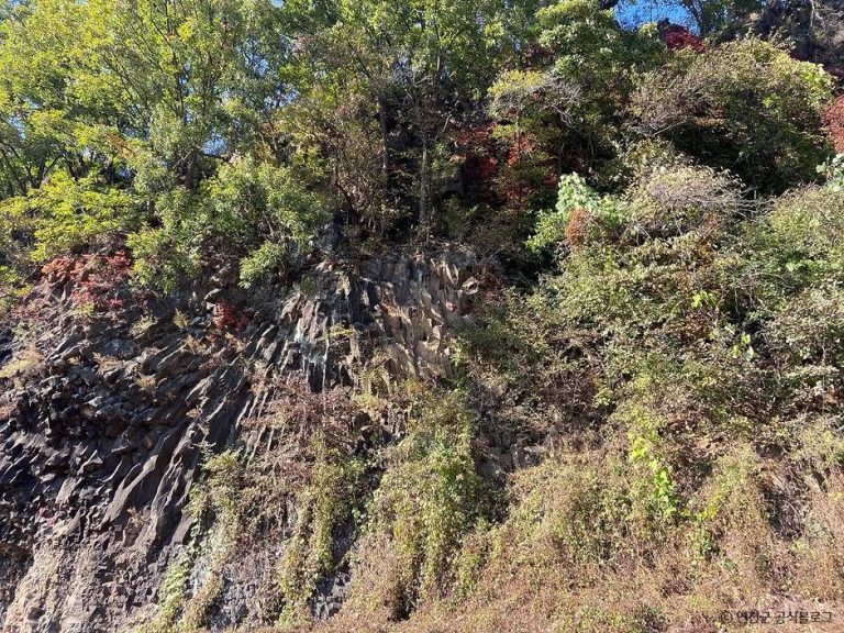 [경기] 백의리층 (한탄강 유네스코 세계지질공원)