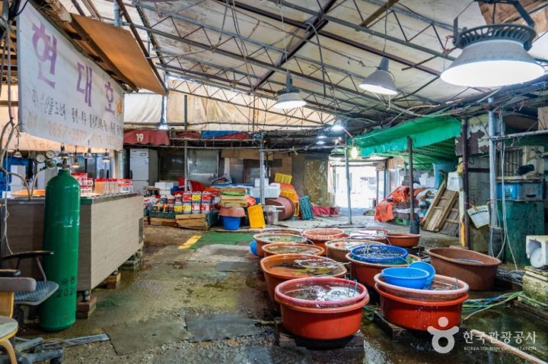 [경기] 선창포구