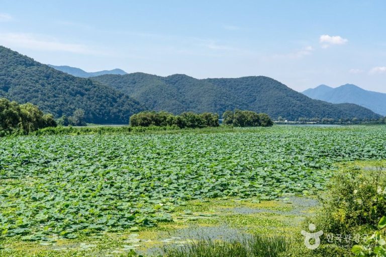 [경기] 경안천 습지생태공원
