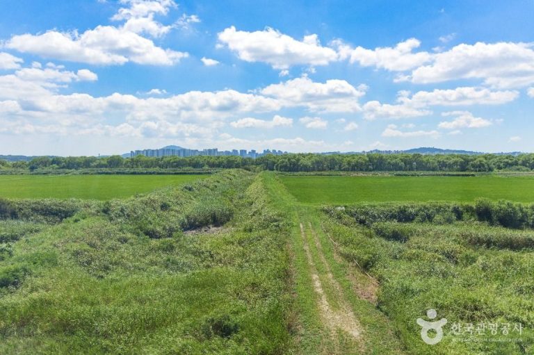 [경기] 장항습지