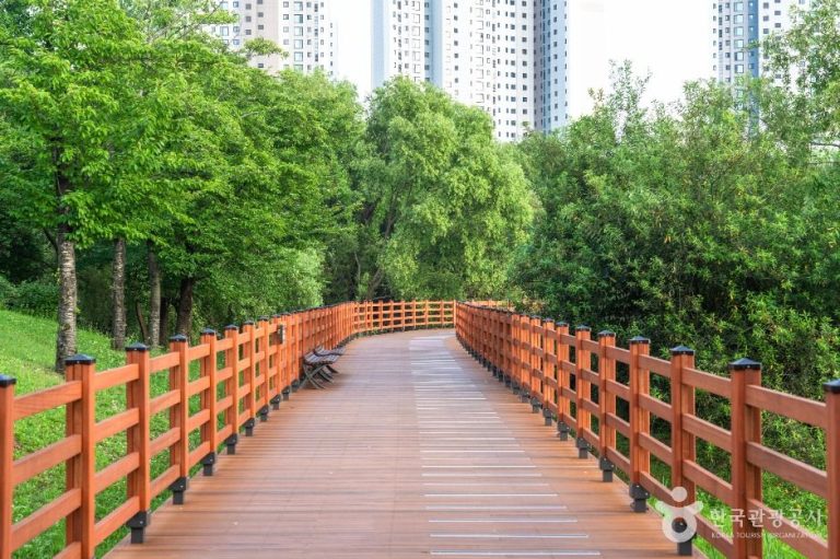 [경기] 배다리생태공원