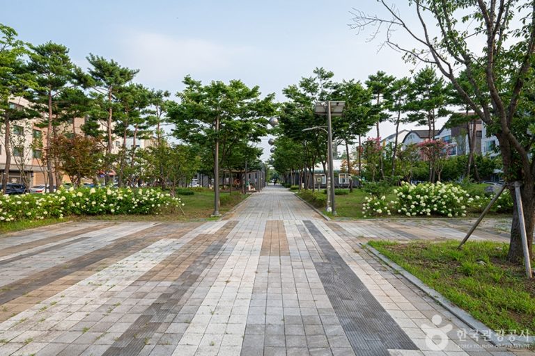 [경기] 너른공원