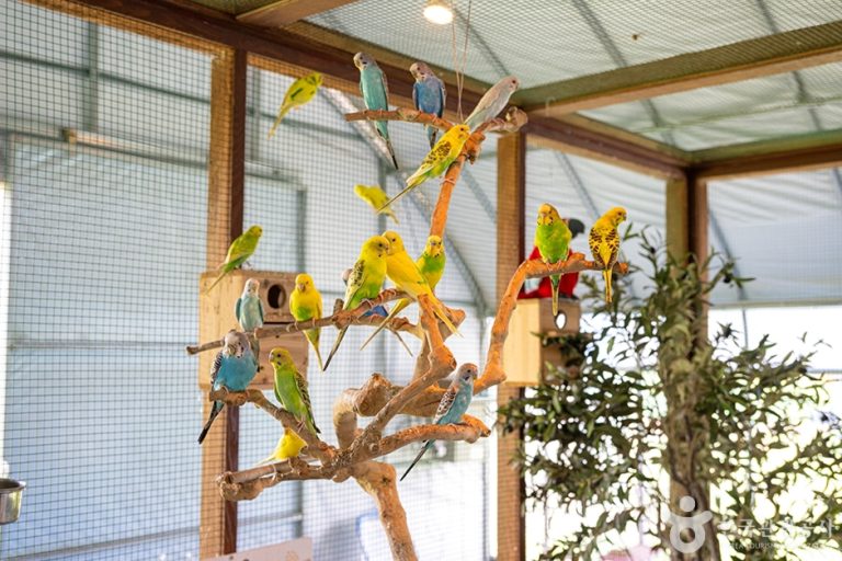 [경기] 센트럴곤충생태농장