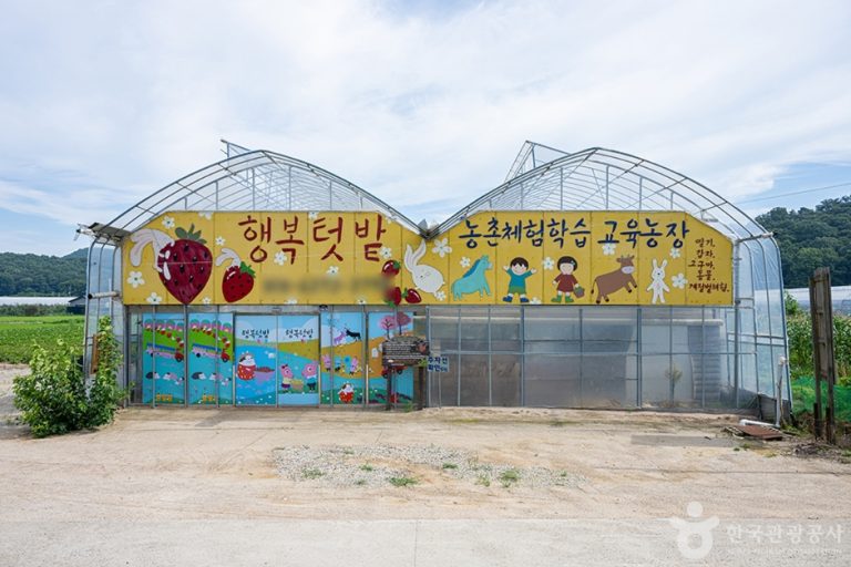 [경기] 행복텃밭