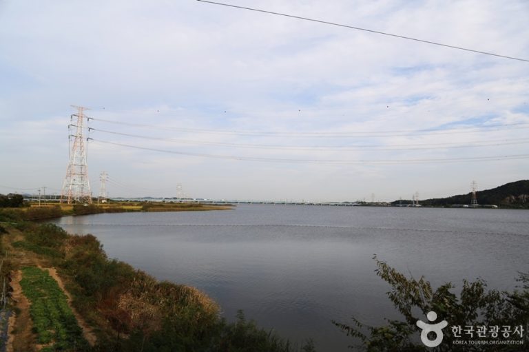 [경기] 남양호(남양황라)