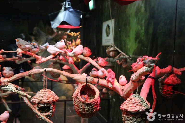 [경기] 주렁주렁 하남점