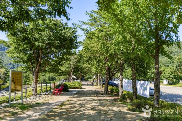 [경기] 동막골유원지