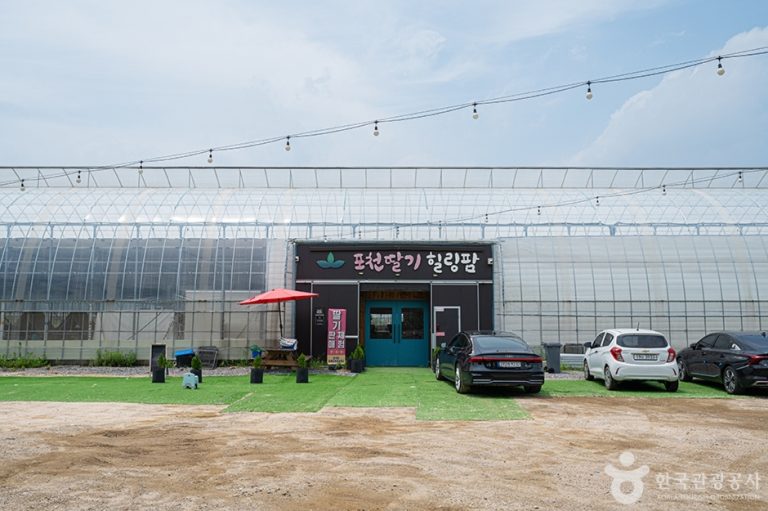 [경기] 포천딸기힐링팜