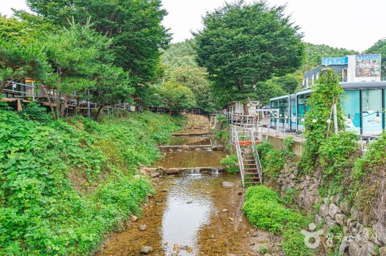 [경기] 장흥유원지