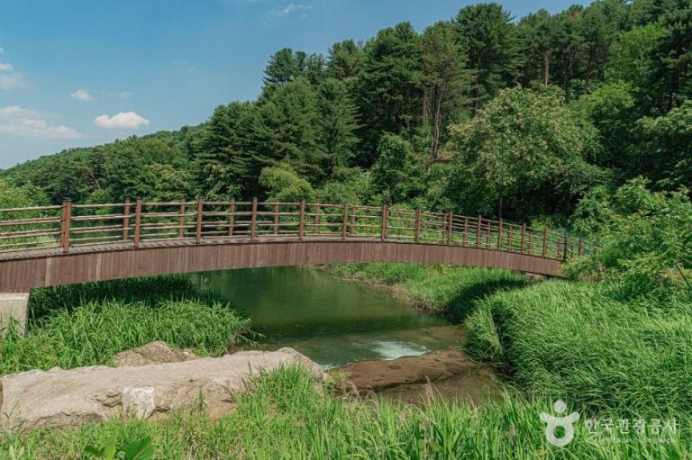 [경기] 깊이울유원지