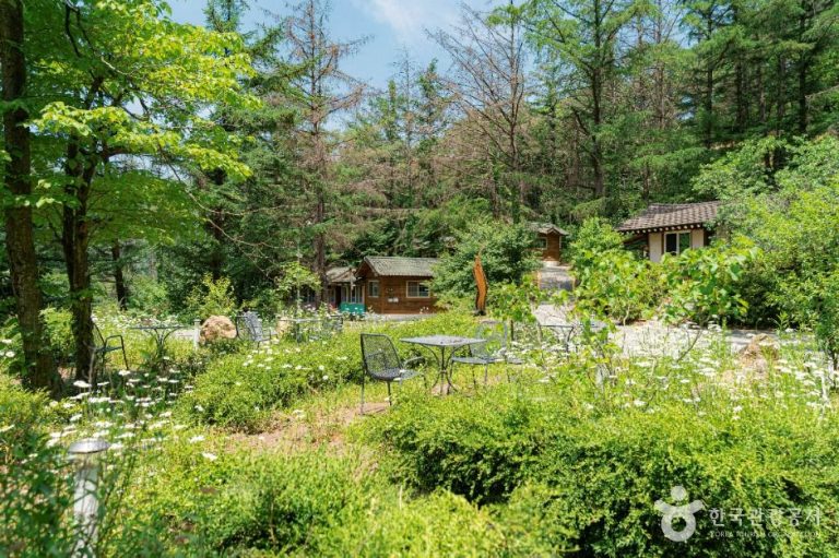 [경기] 설매재자연휴양림