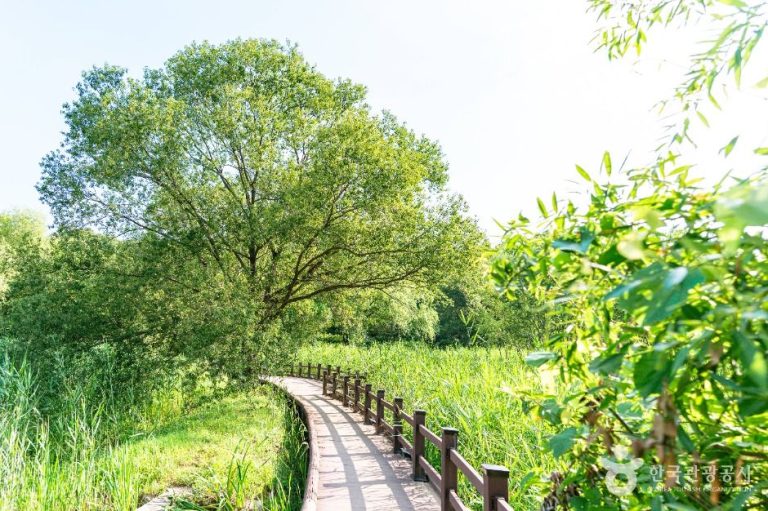 [경기] 안곡습지공원