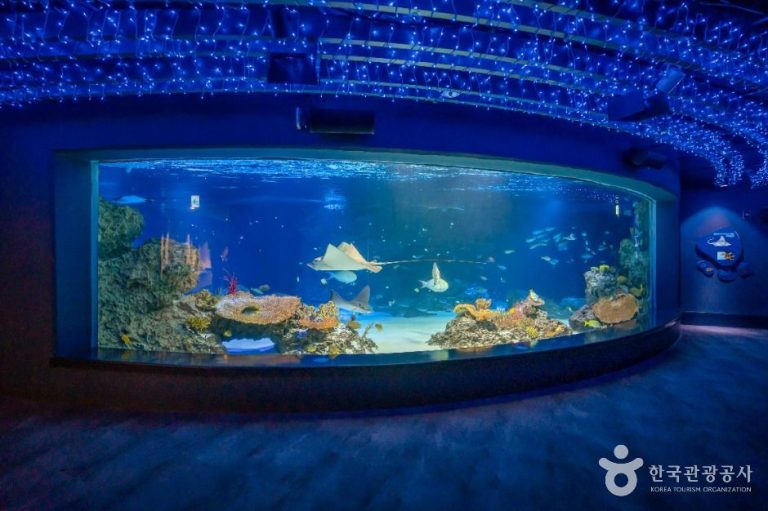 [경기] 아쿠아플라넷 광교